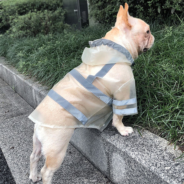 Dog Transparent Reflective Waterproof Raincoat